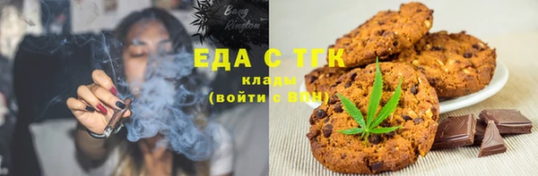 индика Богданович