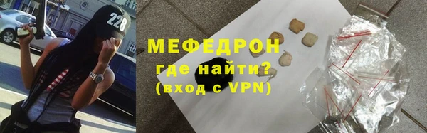 индика Богданович