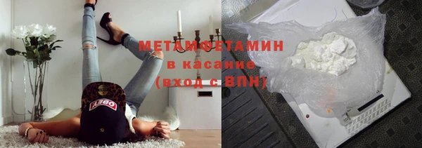 индика Богданович