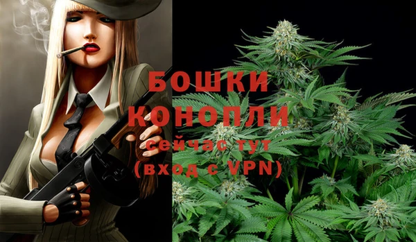 ECSTASY Богородицк