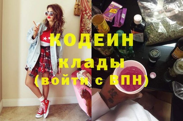 индика Богданович