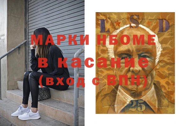 индика Богданович