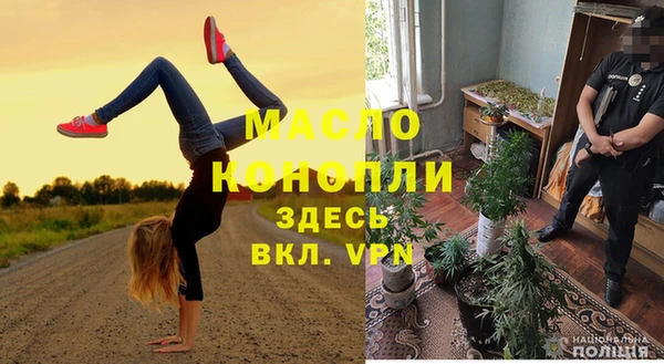 индика Богданович