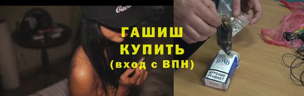 индика Богданович