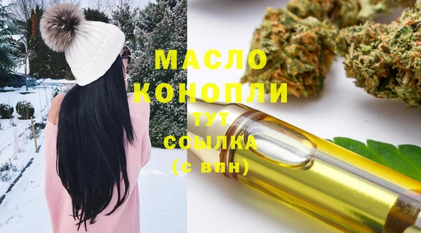 индика Богданович