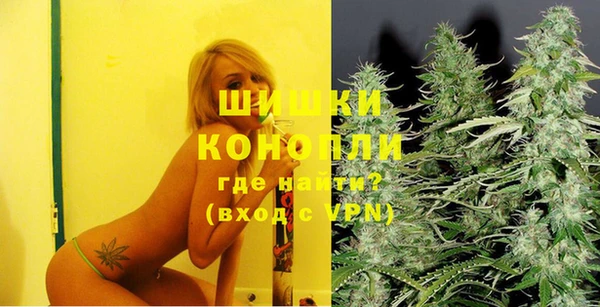 spice Богородск