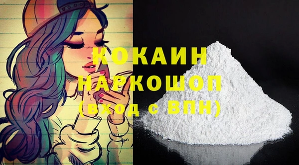 индика Богданович