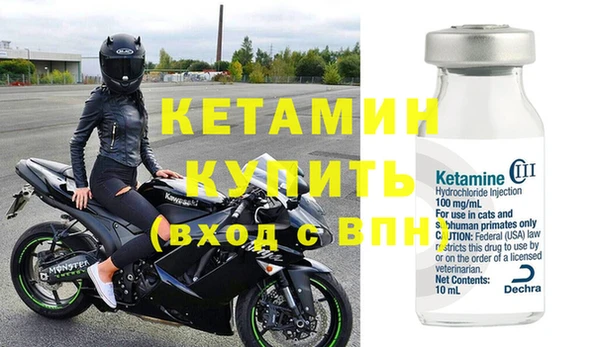 индика Богданович