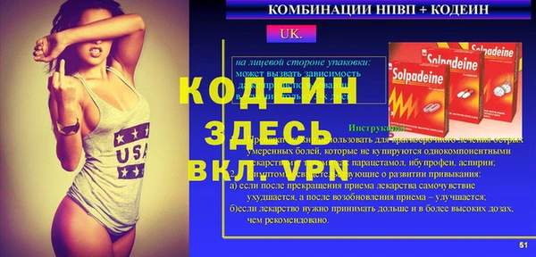индика Богданович