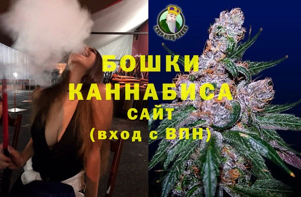spice Богородск