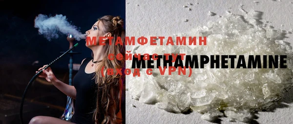 индика Богданович