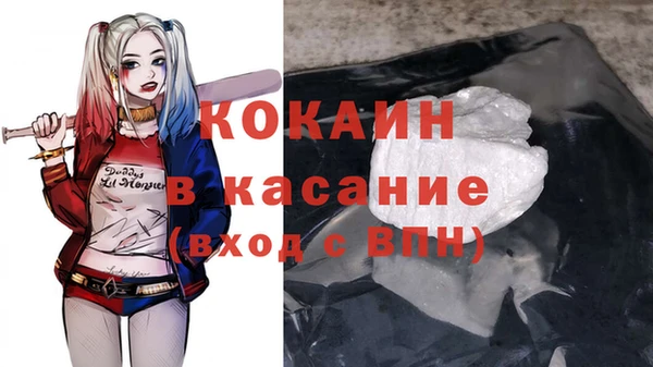 ECSTASY Богородицк