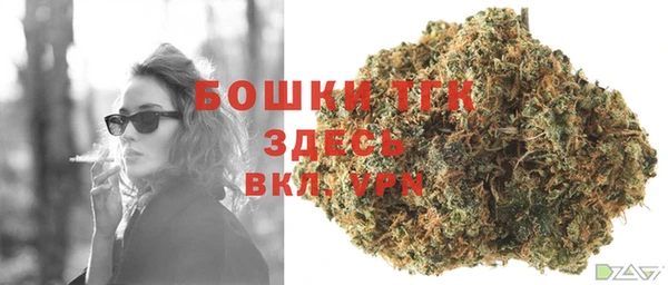 индика Богданович