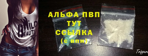 spice Богородск